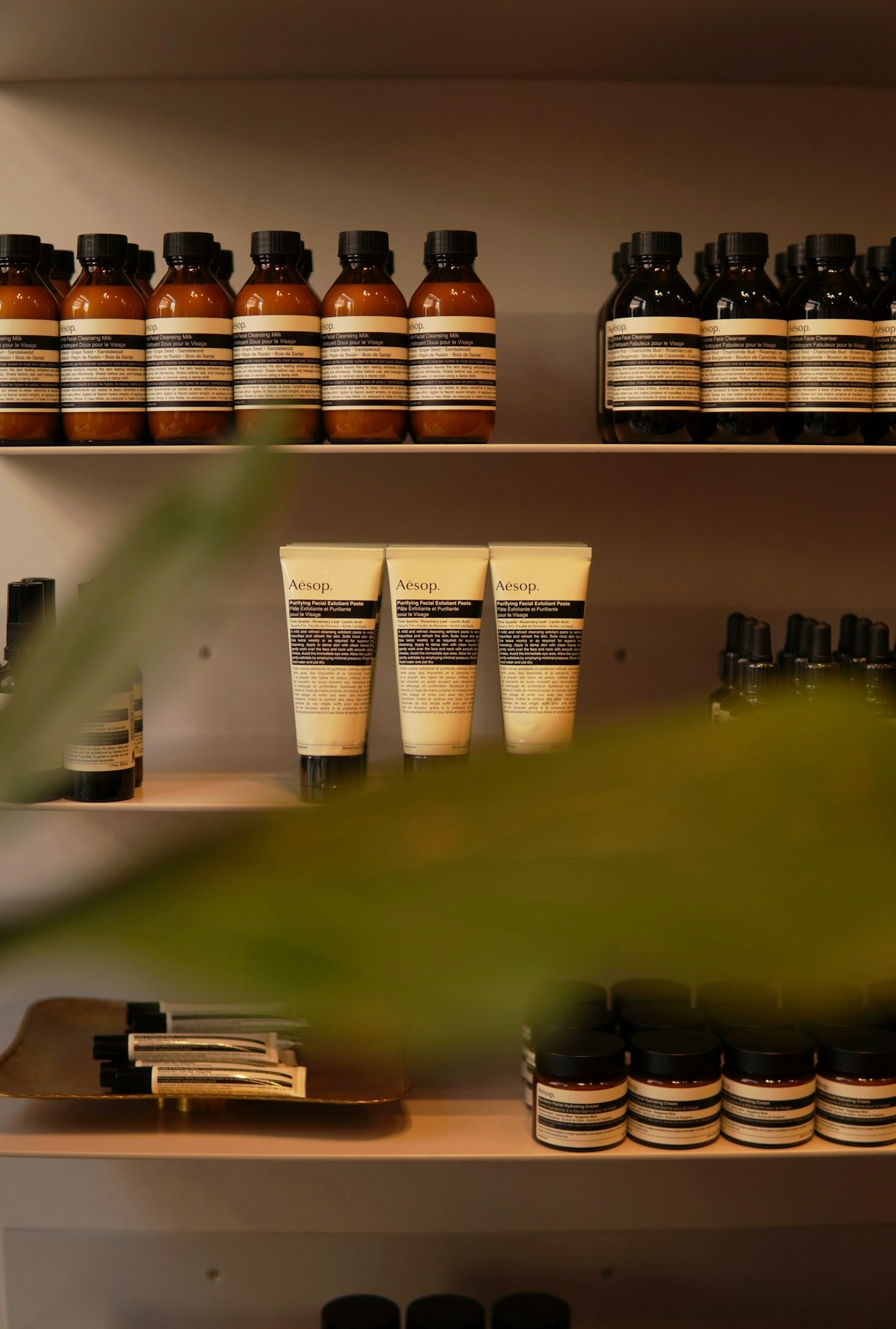 Essential Supplements to Naturally Support Healthy Cholesterol